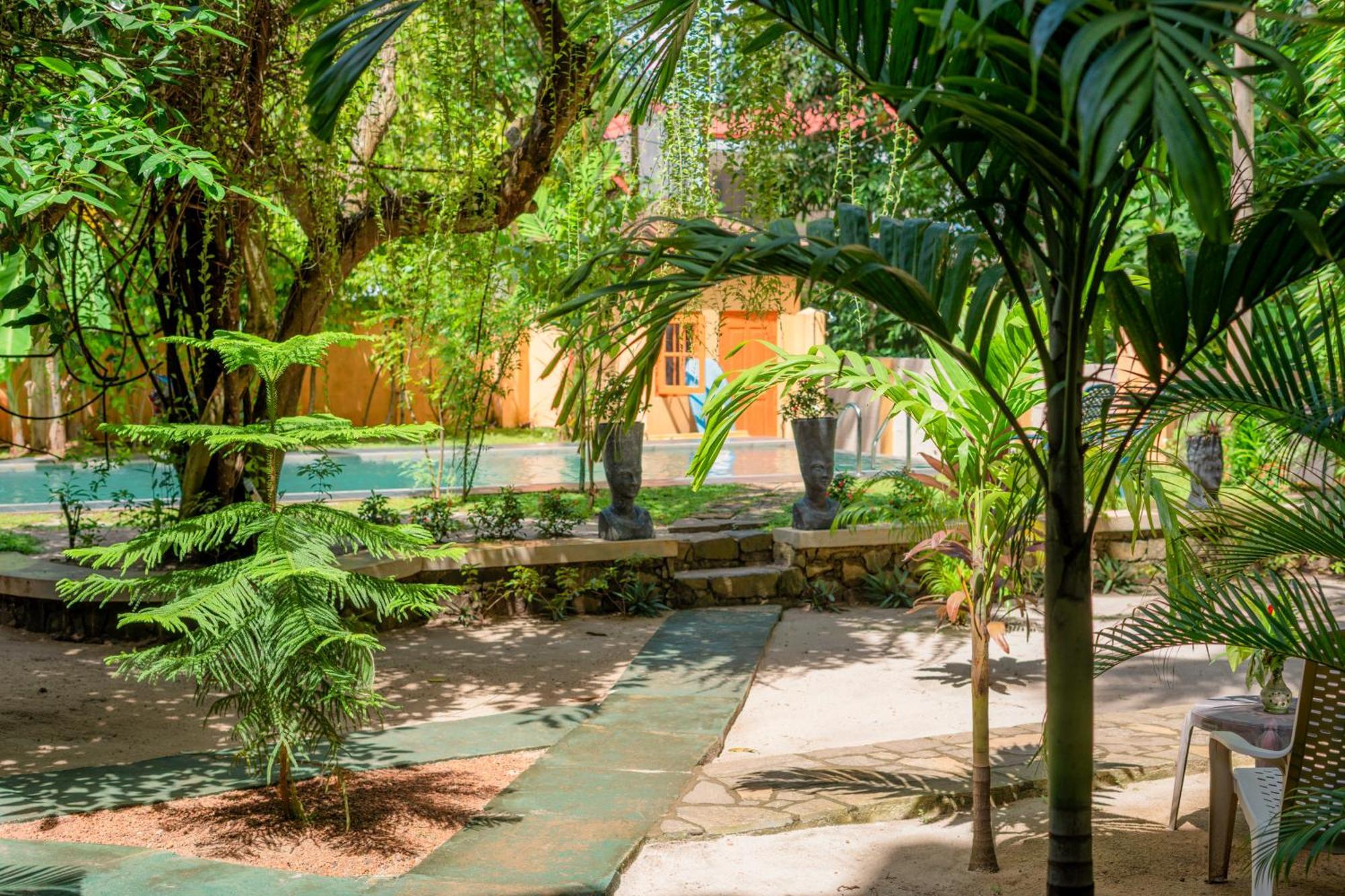 Monkey Villa Hikkaduwa Extérieur photo